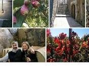 Tenuta Fessina mète “Circle Wine Writers” prossimo giugno