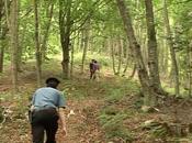 Cavagnolo Cacciatori trovano ossa umane bosco