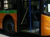 Violenza gratuita