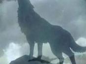 Perche' viaggio solo 2005