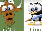 GNU/Linux declino quando mai!