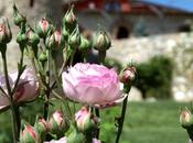 Scrivo perché sono viva…