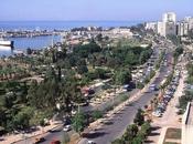Mersin Lidia Tropea)