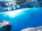 Kai, essere della luce seconda parte.