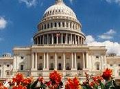 Pronto Vivere sogno Americano? Scegli master negli