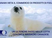 Taiwan vieta commercio prodotti foca