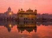 L'essenza della saggezza