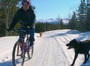 mountain bike anche d’inverno