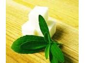 stevia, proprietà benefiche dolcificante naturale