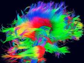 sonda salva vita bimba anni colpita ictus!