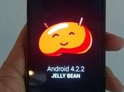 Android 4.2.2 entro metà Febbraio primi Nexus