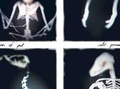 ECHOES YUL, Cold Ground