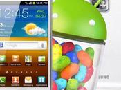 Android Jelly Bean Samsung 2011: ecco quando