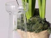 mese ABOUTGARDEN/16