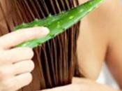 Aloe vera: fonte bellezza pelle capelli