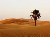 Marocco: l’Erg Chebbi