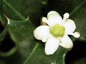 Smetti soffrire senza motivi reali Holly!