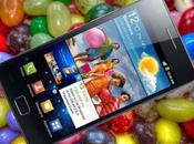 Jelly Bean ufficiale finalmente sbarca Galaxy