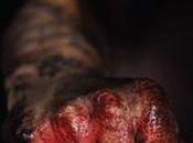 Nido Bastardi Mauro Anelli