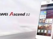 Ascend nuovo smartphone pollici Huawei Android