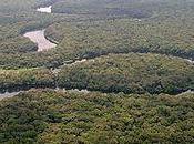 Parco Nazionale Salonga