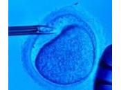 Legge bocciata dalla Corte Strasburgo: speranza procreazione assistita