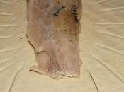 Pesce crosta