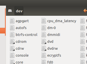 [Guide Linux]Ogni cosa file, significa questo Linux?