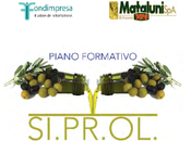 Oleifici Mataluni: incontro dedicato alla cultura della prevenzione