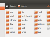 [Guide Linux]Principali differenze Linux Windows