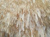 Speleo Club Ibleo Visita guidata alle grotte Bomba Genovese Canicattini Bagni (SR)