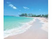 crisi colpisce turismo: viaggi crollano anni