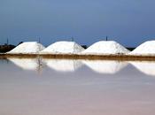 saline Trapani