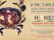 [link] Hitnes Museo Civico Zoologia 20/02/2013