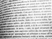 lettura (20.02.13)