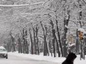Freddo neve Emilia-Romagna