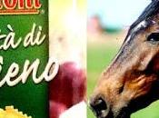 Findus Nestlè: scandalo della carne cavallo tocca anche l'Italia. Ritirate lasagne, ravioli tortellini.