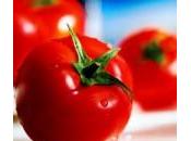 Perché importante mangiare pomodori