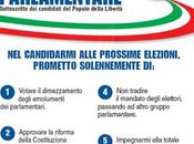 programmi elettorali 2013