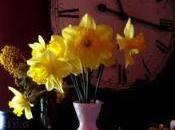 mazzo giunchiglie posted Claudia Piccinno