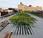 York High Line: Urban Park feet over ground