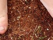 Vinto Bambini Casa Sicura VerdeVero? Grazie Tutte!!