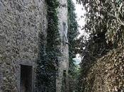 villaggio Voltole, Paglia