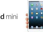 L'iPad Mini strumento preferito fare shopping