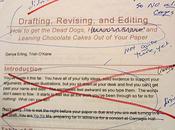 consigli revisione oggettiva romanzo