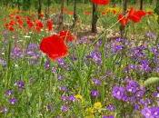 JOSIF BRODSKIJ -poeta russo; 1940 1996