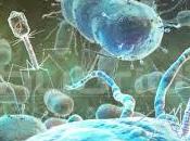 Distruggere batteri fagi possiedono sistema immunitario contro