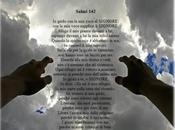 “Nuovi Salmi” Salmo
