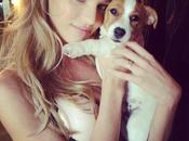 Instagram: Guida profili perdere