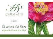 colore fiori Acquerelli Maria Rita Stirpe”